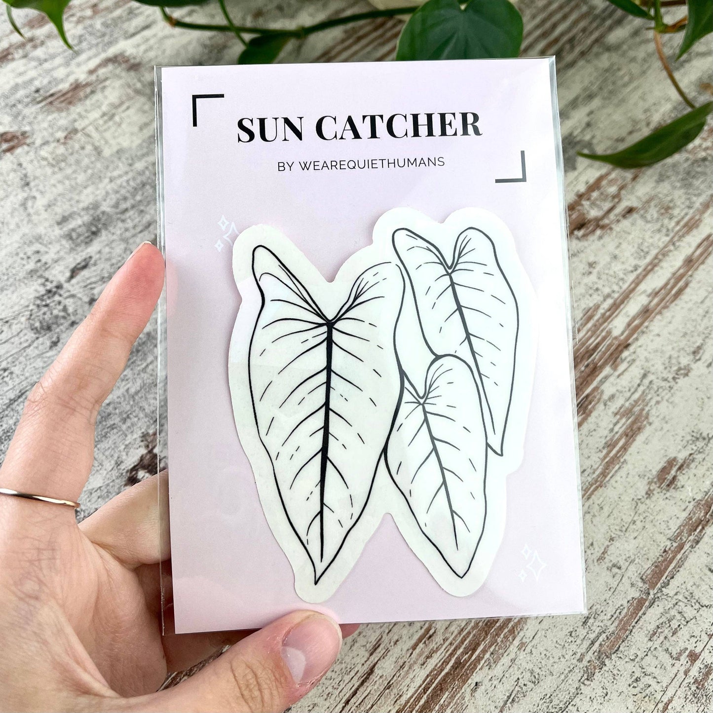 Suncatcher Sticker - plantyintroverts