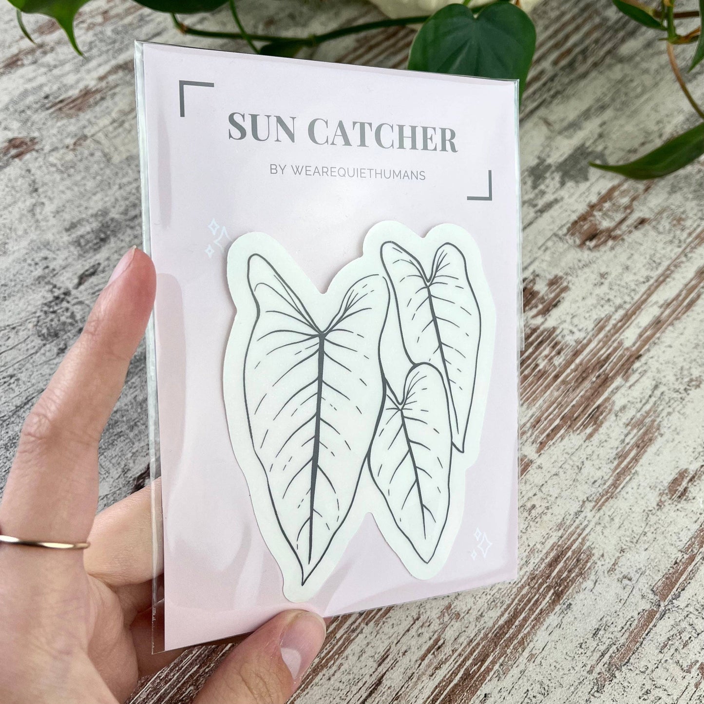 Suncatcher Sticker - plantyintroverts