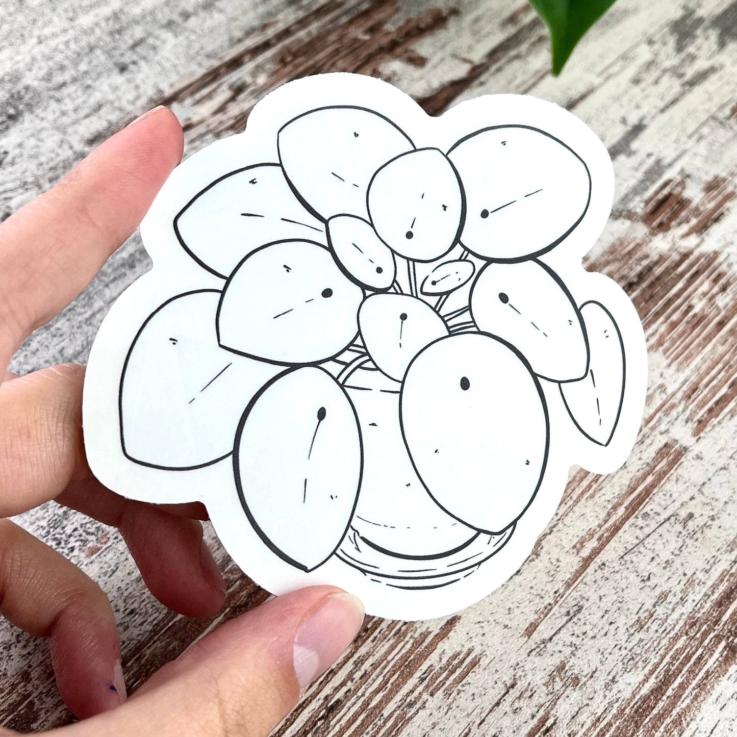 Suncatcher Sticker - plantyintroverts