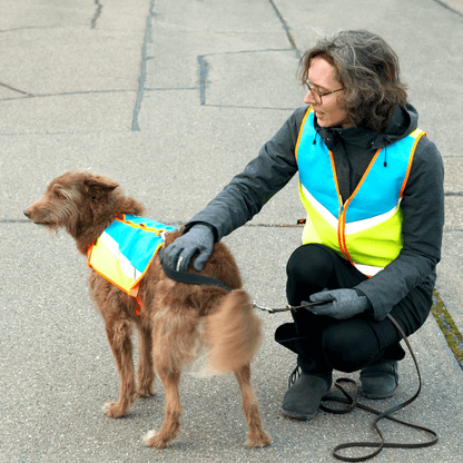 Warnweste für Hund und Damen blau gelb