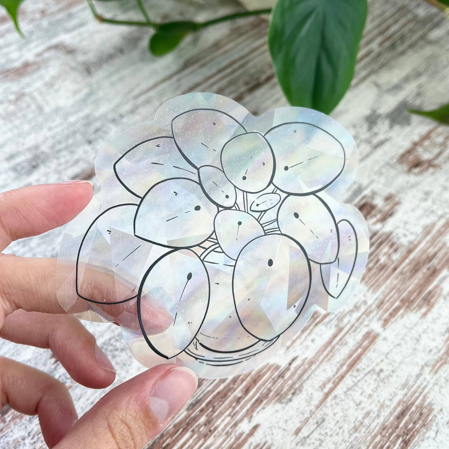 Suncatcher Sticker - plantyintroverts