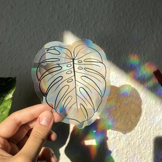 Suncatcher Sticker - plantyintroverts