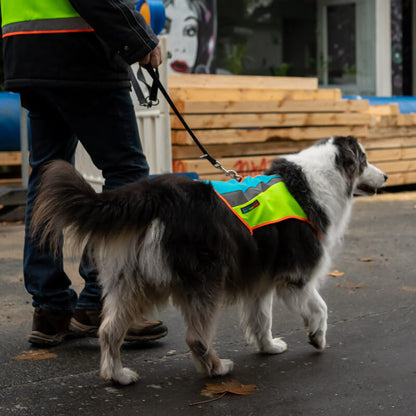 Hunde Warnwesten Hundeweste Leuchtweste rot blau gelb schöne Warnweste Bunter Hund Signalweste Turnbeutel reflex neon fair Bielefeld Hundeaccessoires